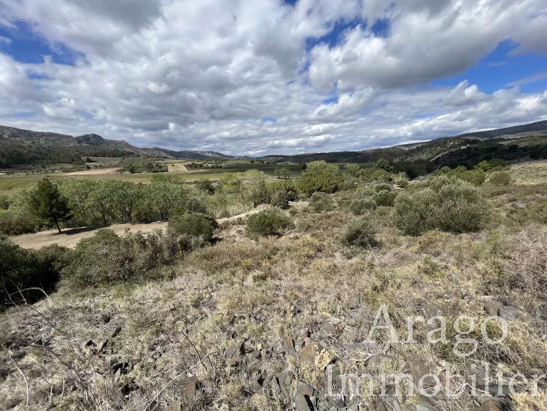 Terrain à CASES-DE-PENE