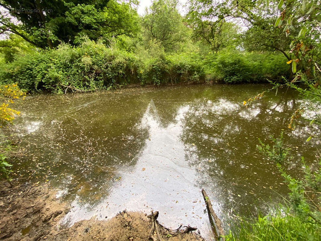 Maison à BRAY-EN-VAL