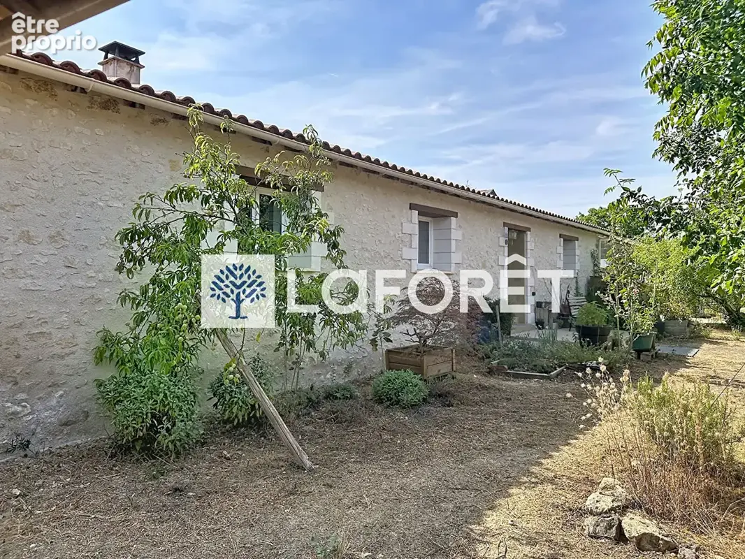 Vente maison Soussigny de REPEROUX - photo 16