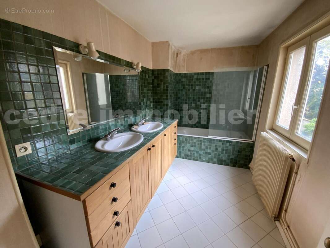 IMG_3994 - Maison à ORLEANS