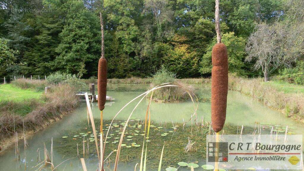 Maison à MOULINS-SUR-OUANNE