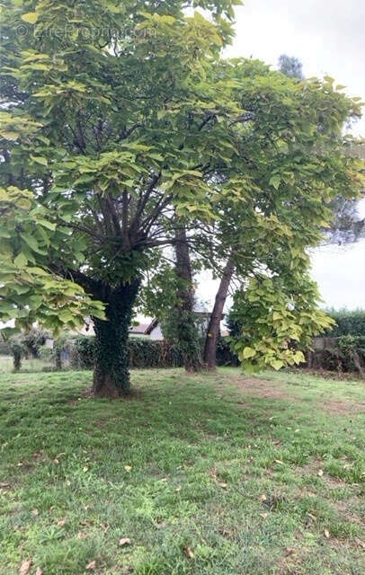 Maison à SAINT-VINCENT-DE-PAUL