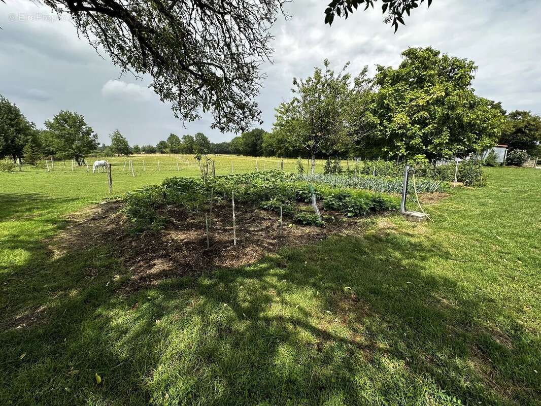 Exclusivite - longère restaurée - channay sur lathan - photo 6