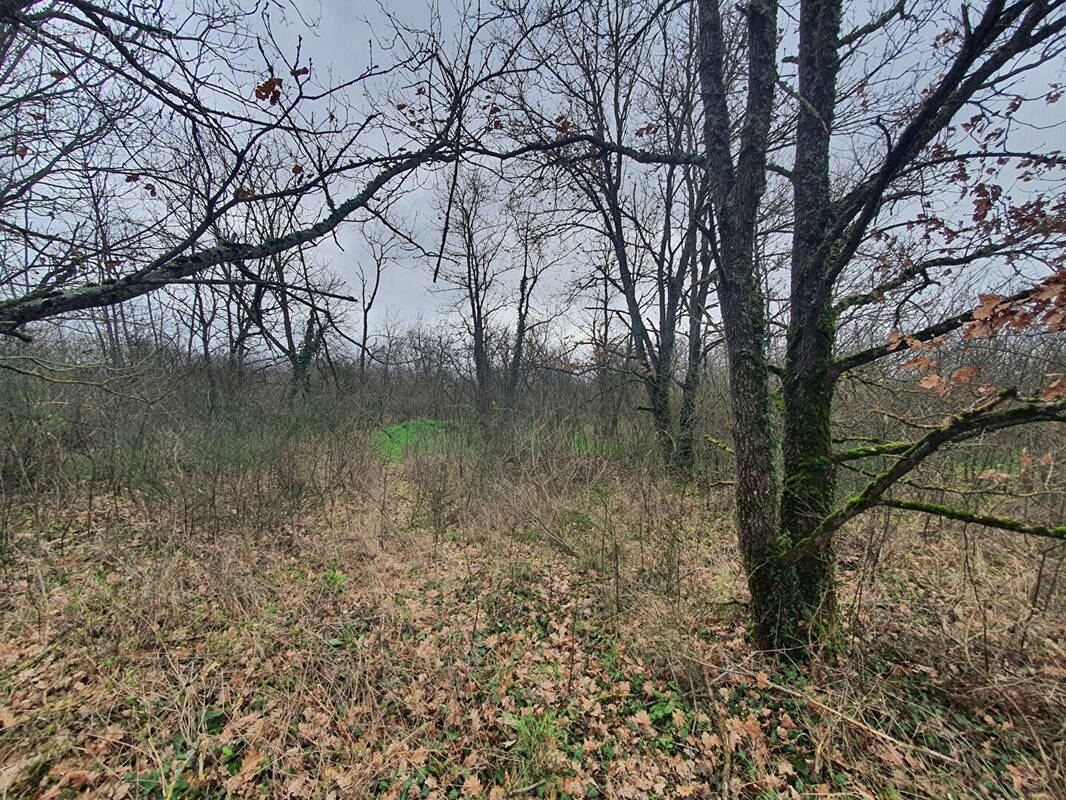 Terrain à VILLEMUR-SUR-TARN