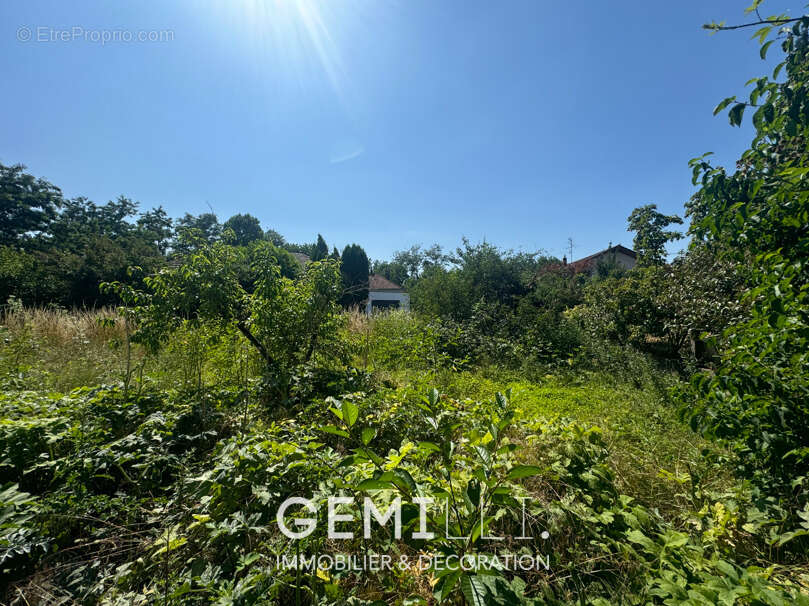 Maison à BALDERSHEIM