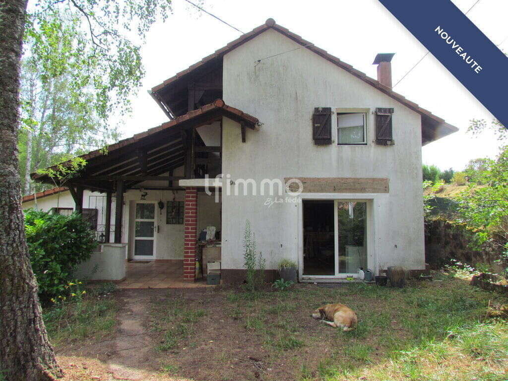 Maison avec dépendances sur 35 ares - photo 4