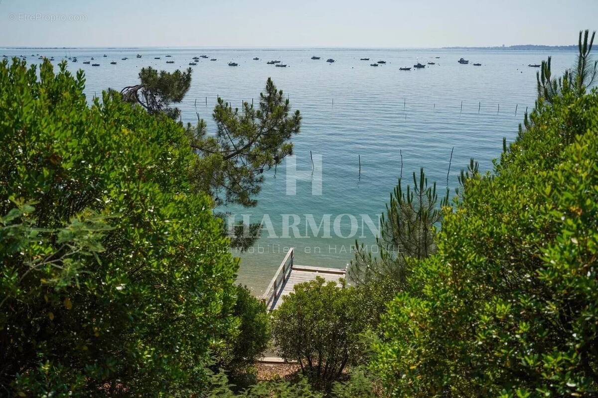 Cap-Ferret – Villa d'exception face au Bassin d'Arcachon - photo 5