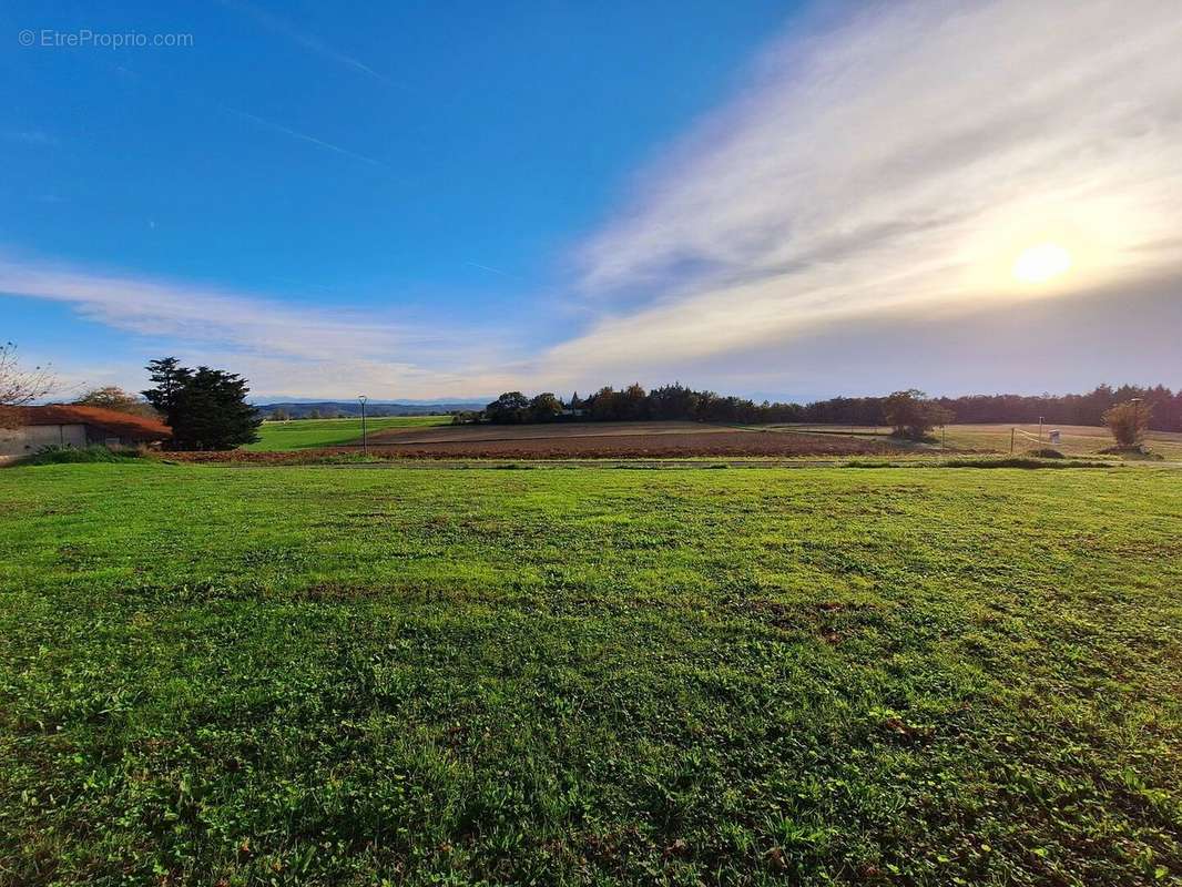 fileds/ mountains - Maison à MIRANDE