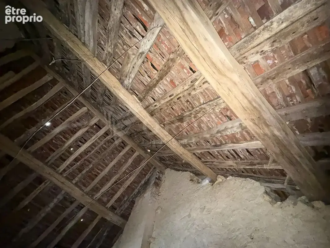 Maison ancienne avec dépendances sur 3 073 m² - Hameau de Treigny (89520) - photo 8
