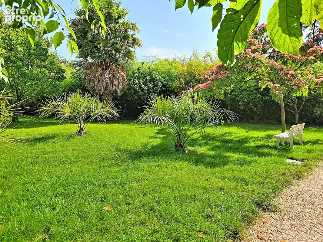Photo Appartement à Sanary-Sur-Mer au prix de 650 000€