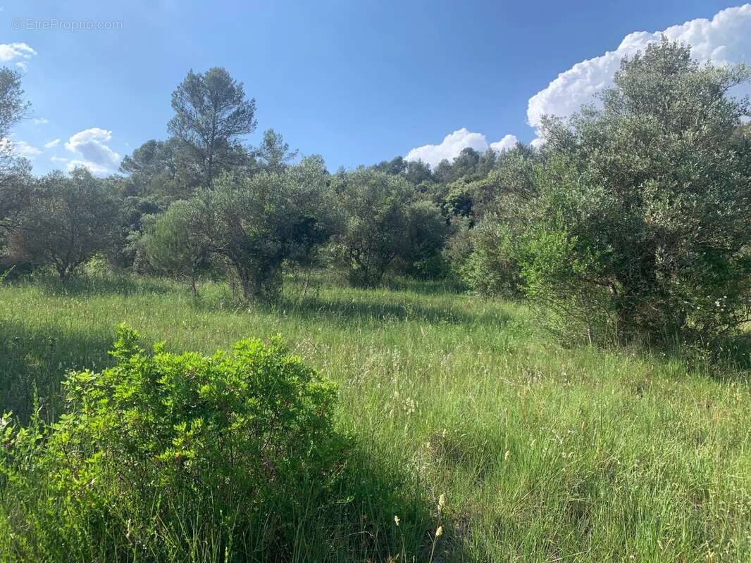 Maison à CAMPS-LA-SOURCE