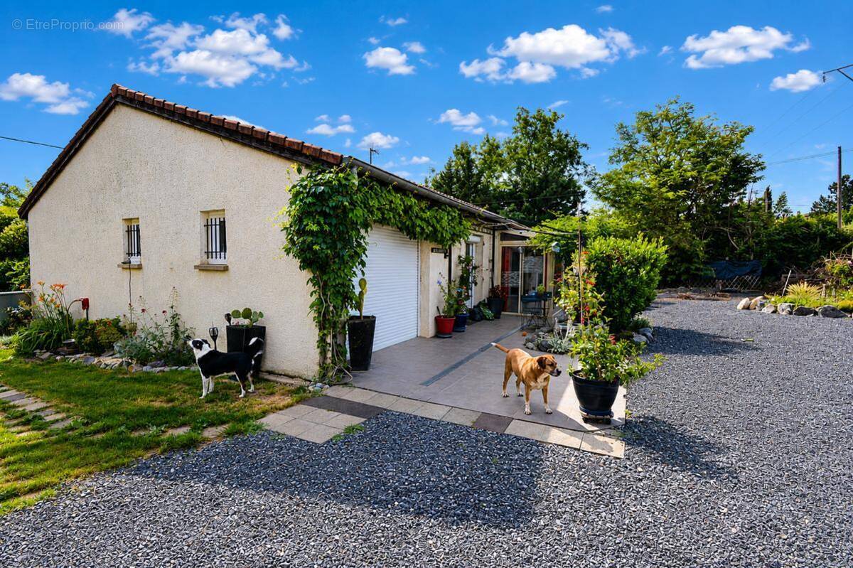 Maison à SAINT-ALBAN-AURIOLLES