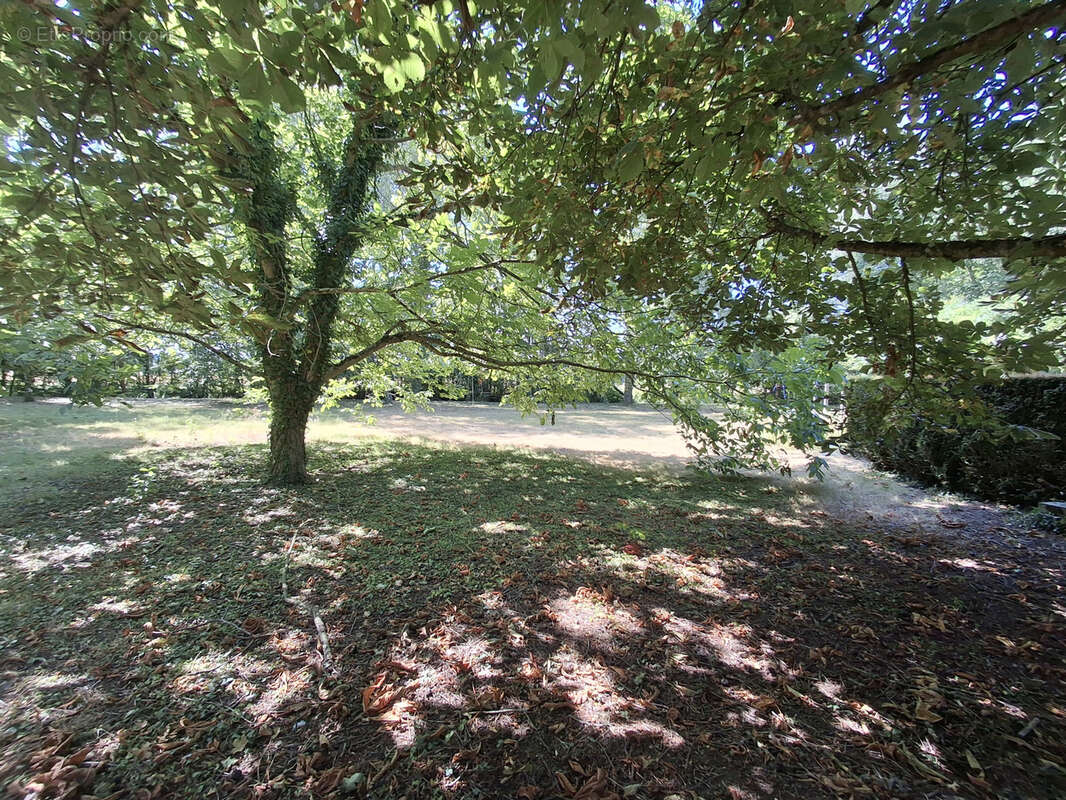 Maison de campagne dans un ecrin de verdure - photo 27