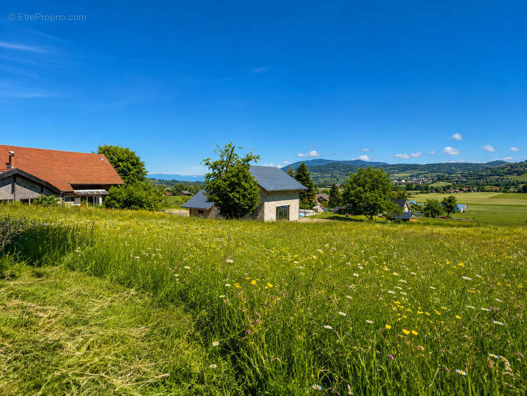 Terrain à VIUZ-EN-SALLAZ