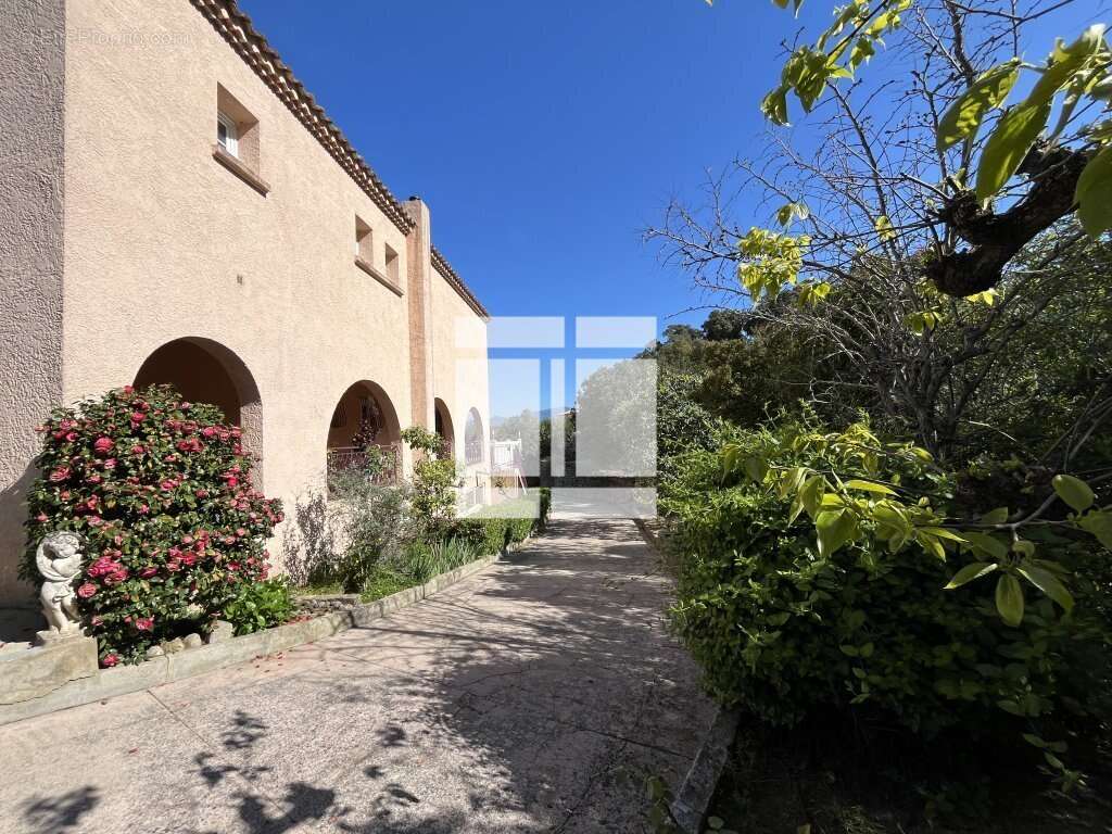 Maison à PIETROSELLA