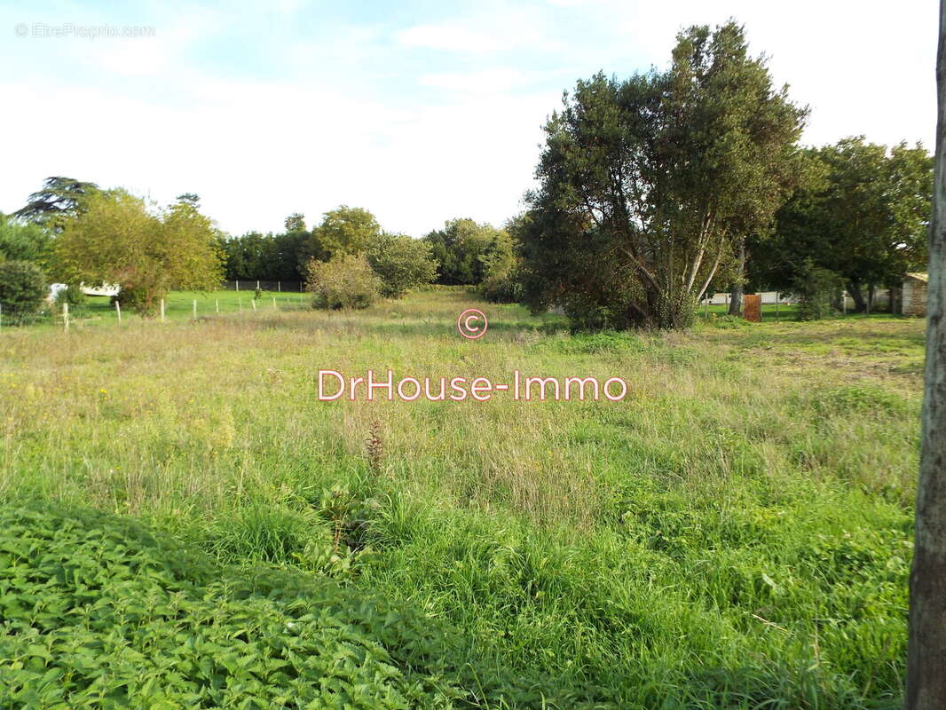 Terrain à BOIS