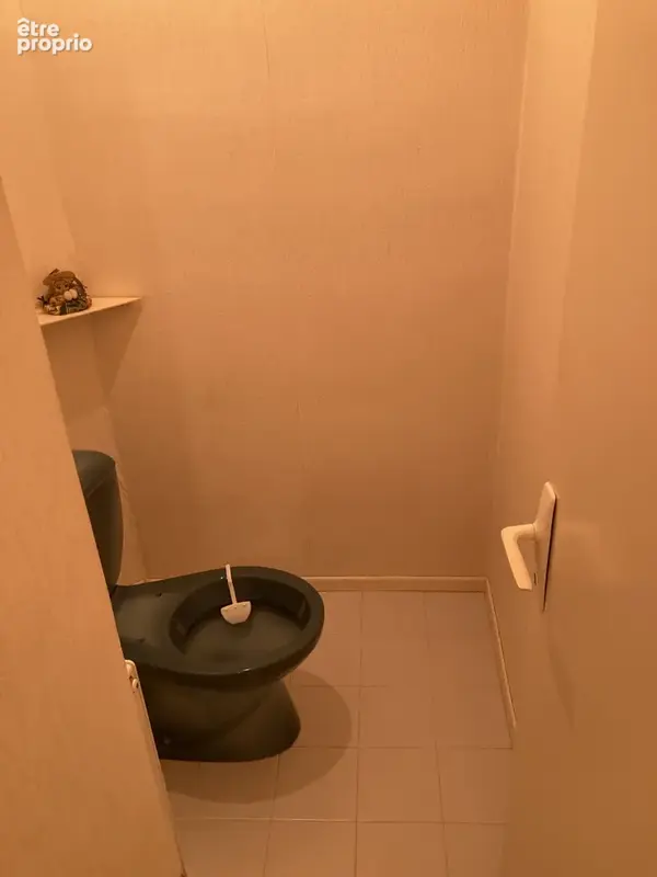 Propriété exceptionnelle en bord de rivière avec 3 appartements, grands garages et magnifique jardin à Axat - photo 25