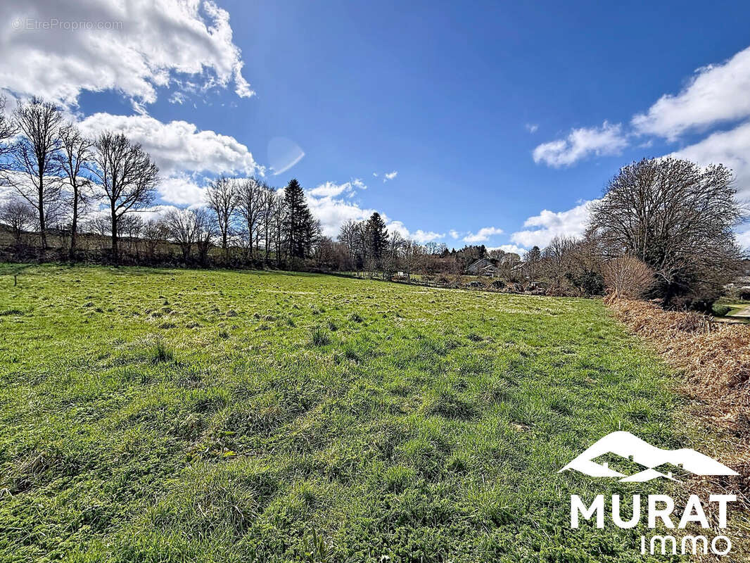 Terrain à CHAPDES-BEAUFORT