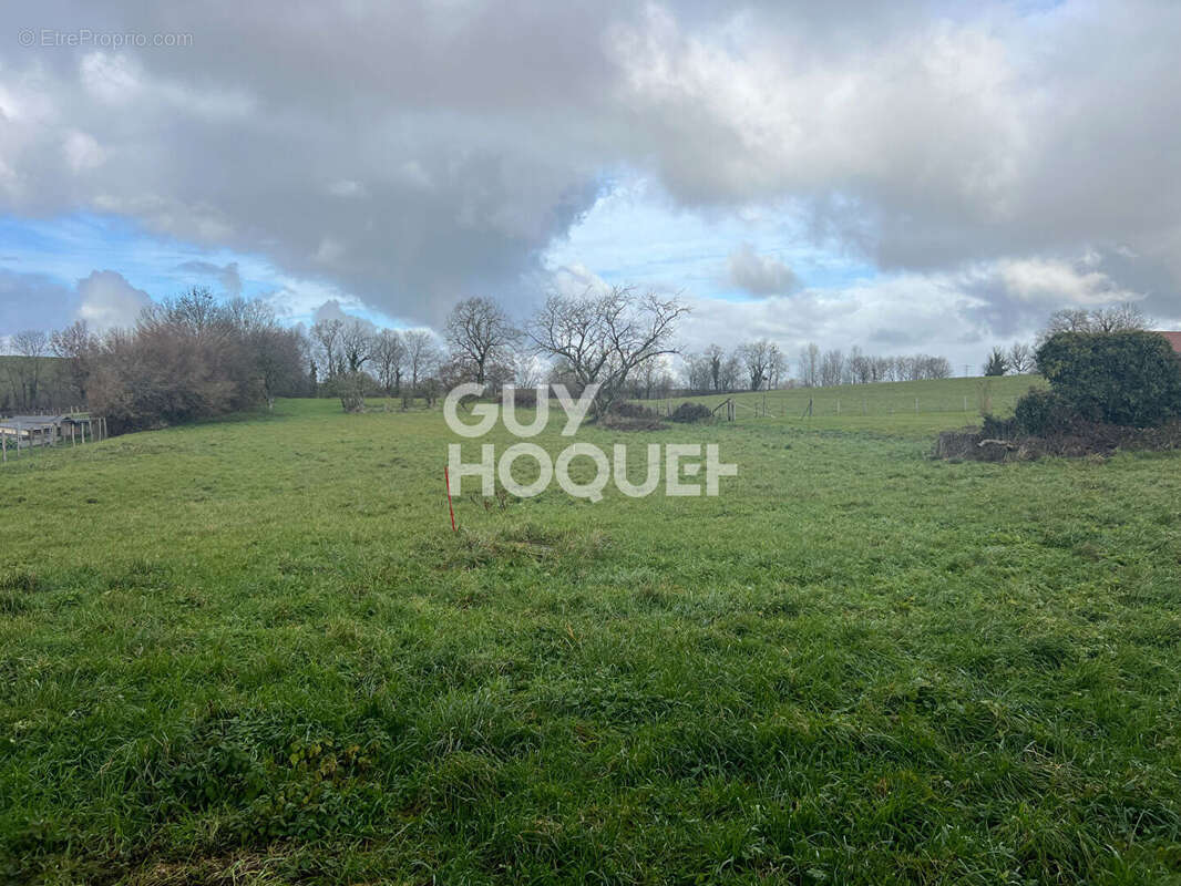 Terrain à MONTAGNIEU