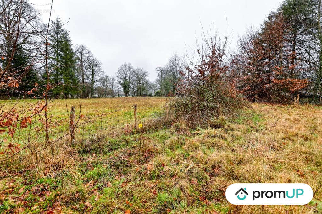 Terrain à PEYRILHAC