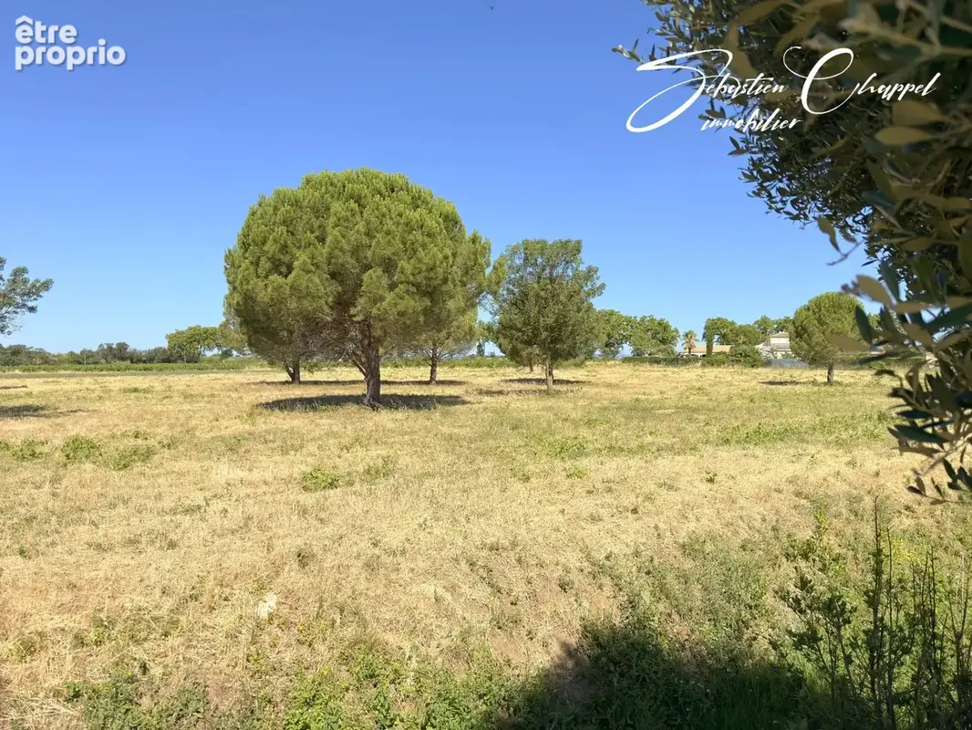 Terrain à vendre de 1011 m2 ALIGNAN DU VENT (34) - photo 10