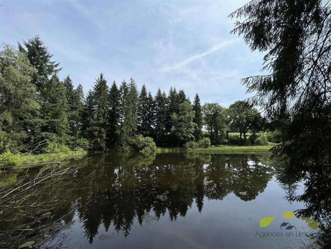 Maison à MOISSANNES