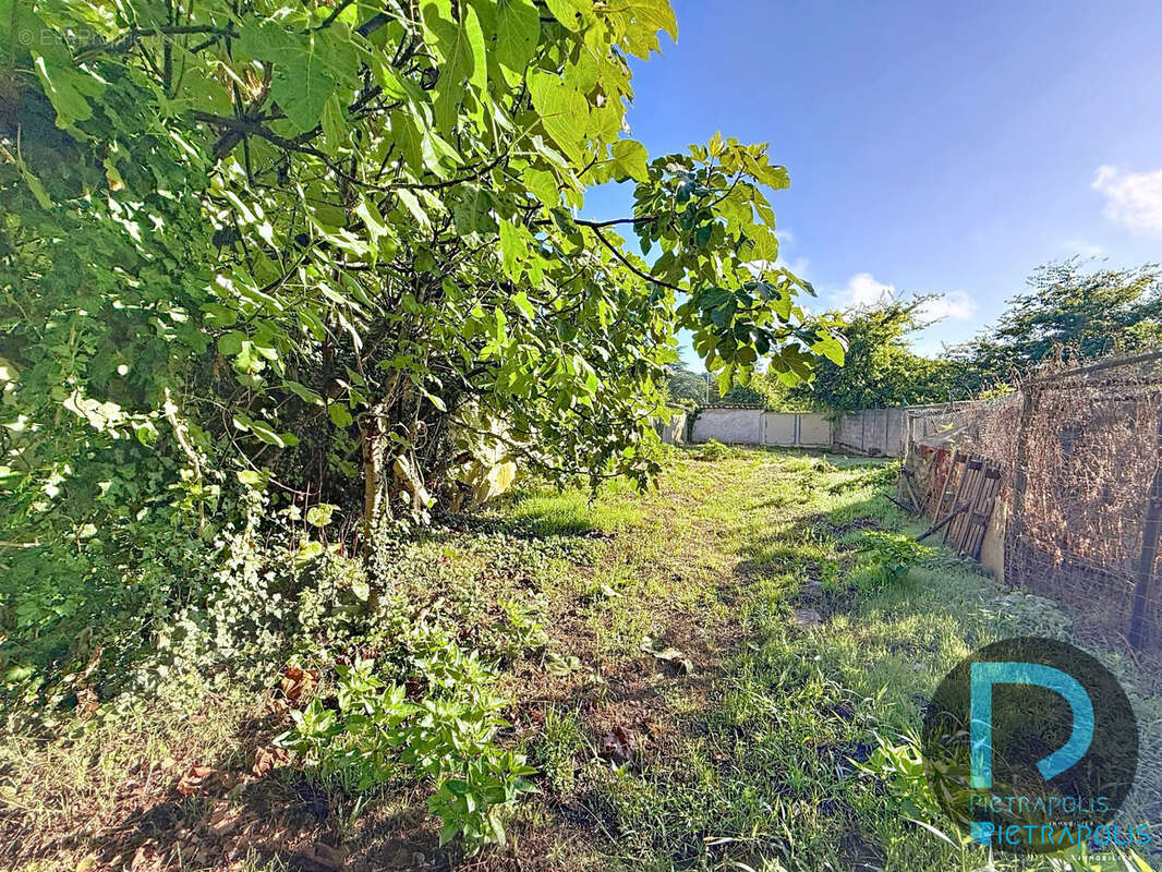 Maison à MONTMERLE-SUR-SAONE