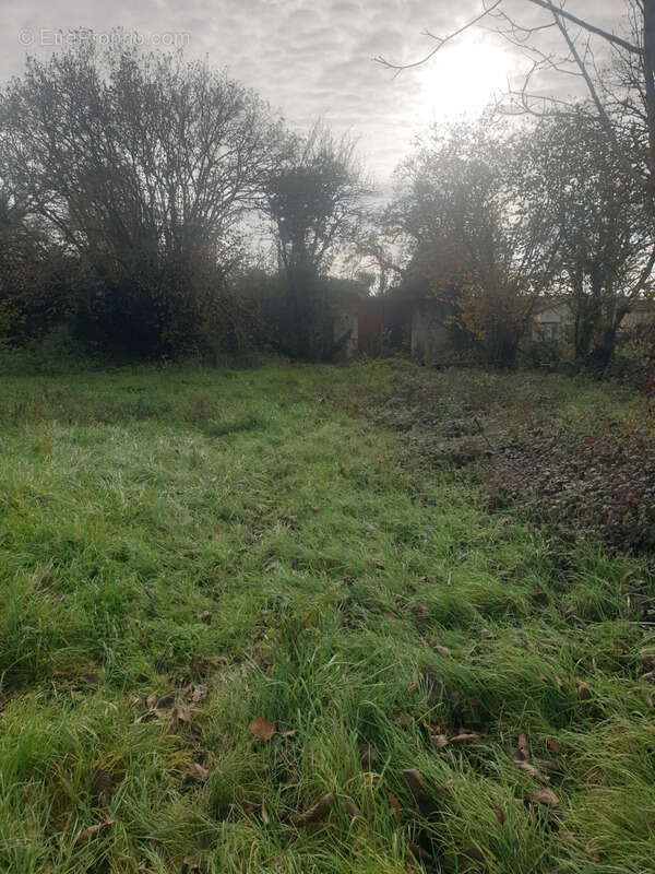 Maison à SAINT-BONNET