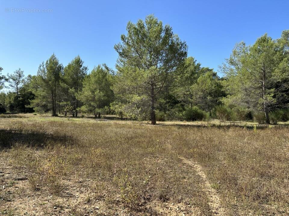 Terrain à MEOUNES-LES-MONTRIEUX