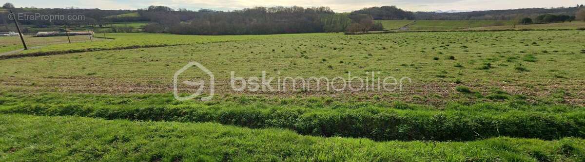 Terrain agricole - photo 2