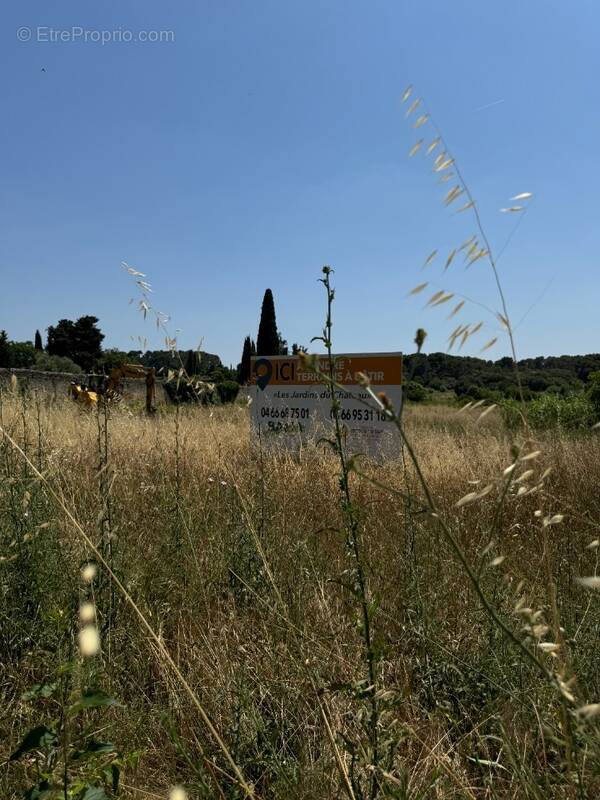 Terrain à AUBAIS