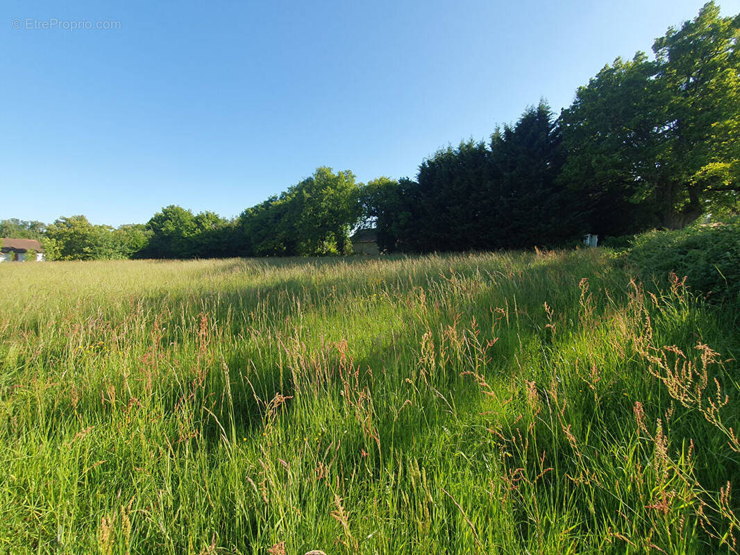 Terrain à VILLEBRET