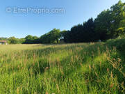 Terrain à VILLEBRET