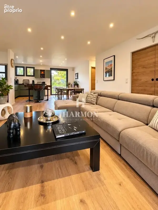 Harmon a vendre–salies-de-béarn ,maison de plain-pied rénovée – jardin de 1 100 m² - photo 3