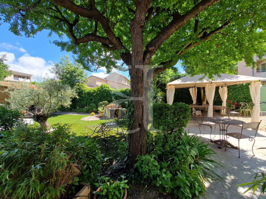 Maison à VAISON-LA-ROMAINE