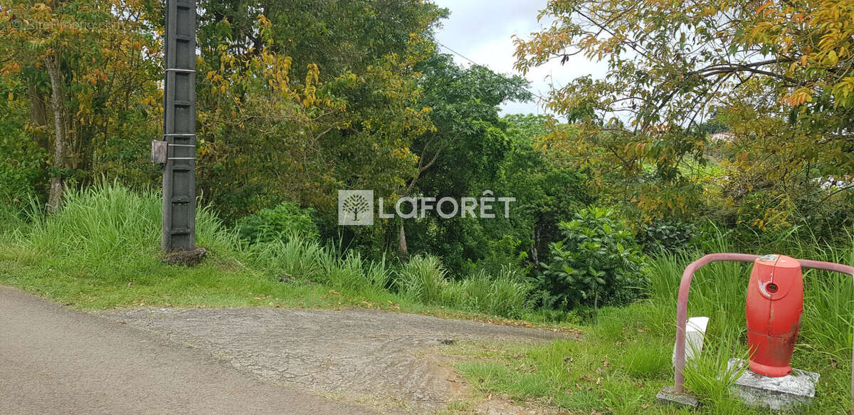 Terrain à LA TRINITE