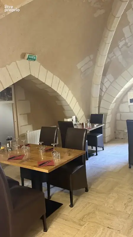 Maison 12 pièces 436 m² à vendre à Troo (41800) - photo 4