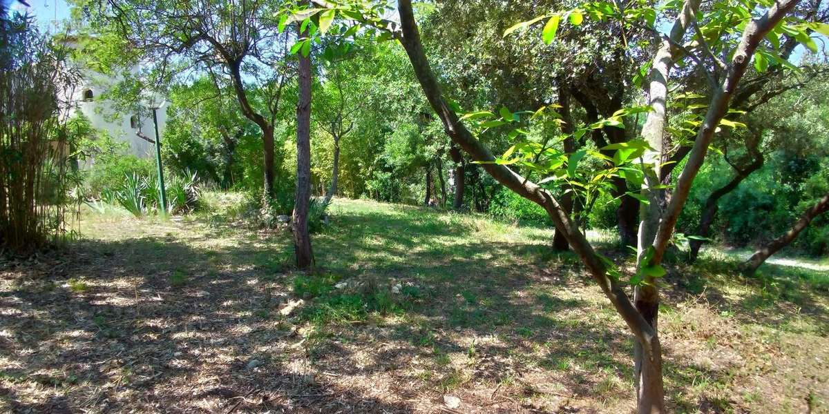 Terrain à SAINT-CLEMENT-DE-RIVIERE