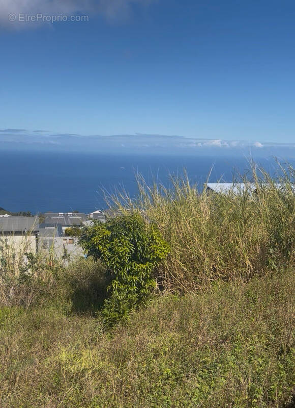 Terrain à LE PORT