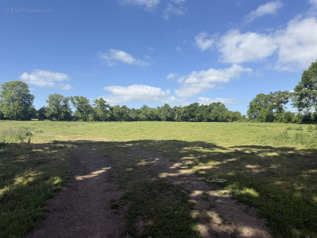 Maison à MONTREUIL-SUR-LOZON