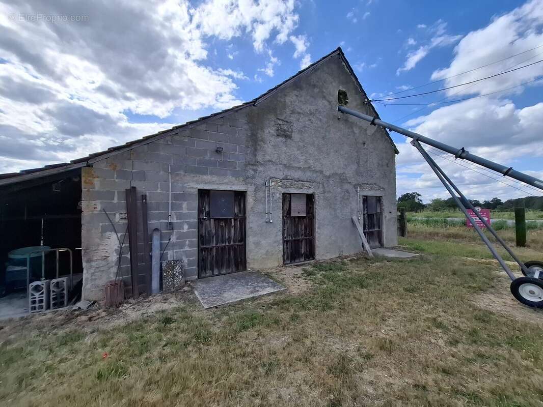 Maison à SANCOINS