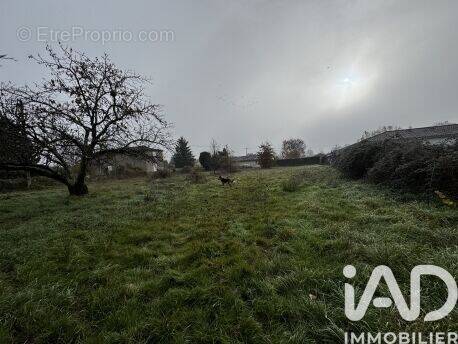 Photo 1 - Terrain à CASTELSARRASIN