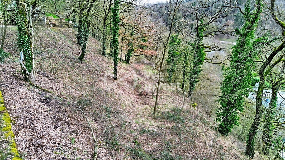 Terrain à LE MONASTERE