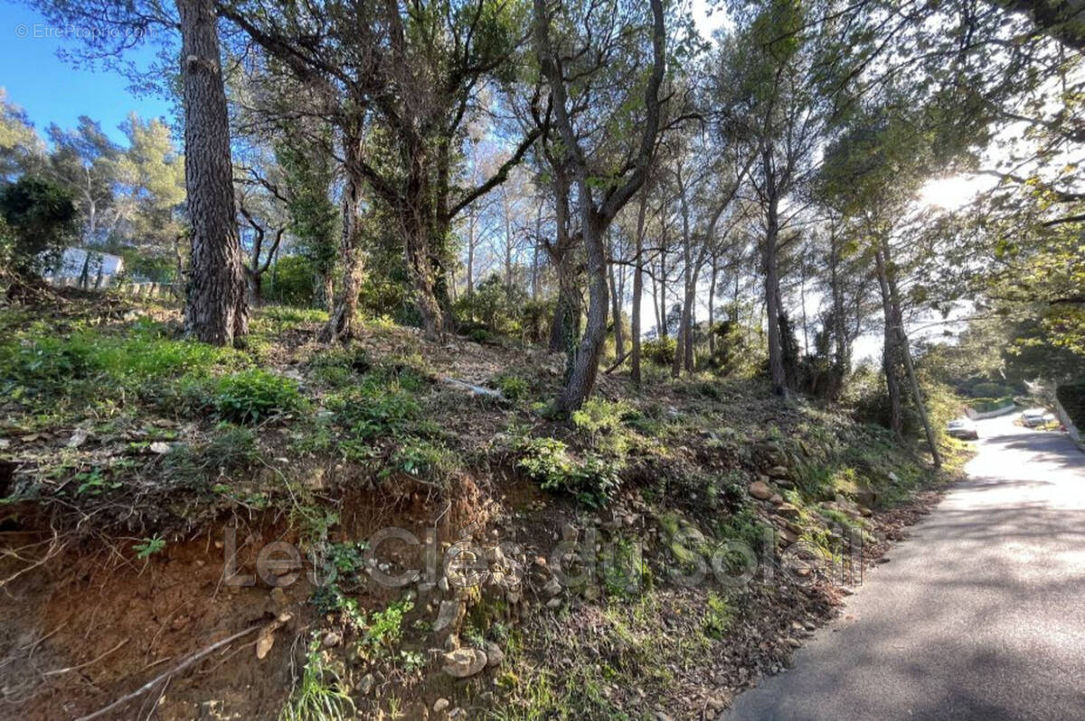 Terrain à LE REVEST-LES-EAUX