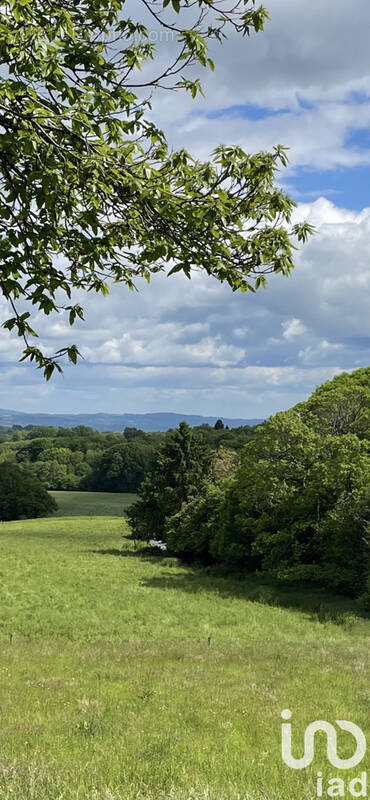 Photo 1 - Maison à SURDOUX