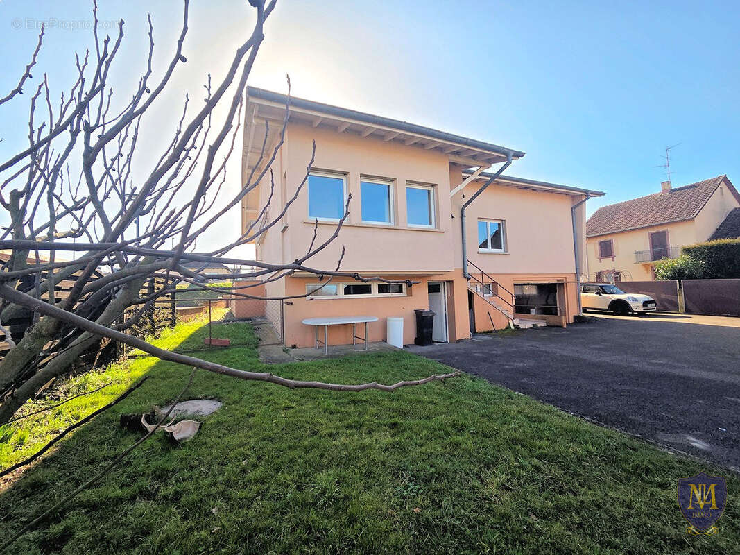 Michelbach-le-bas maison plain-pied à fort potentiel de 120 m2 avec dépendance sur 9,02 ares - photo 16