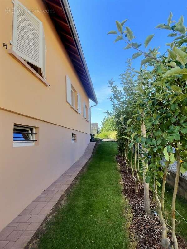 Maison à COLMAR