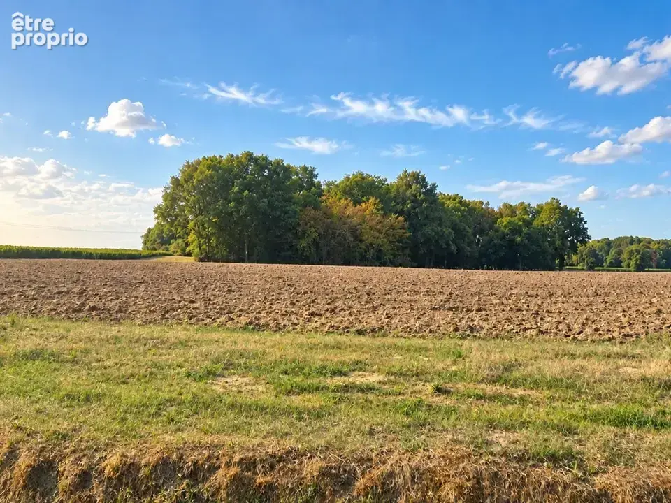 Terrain à SAINT-SAVIN