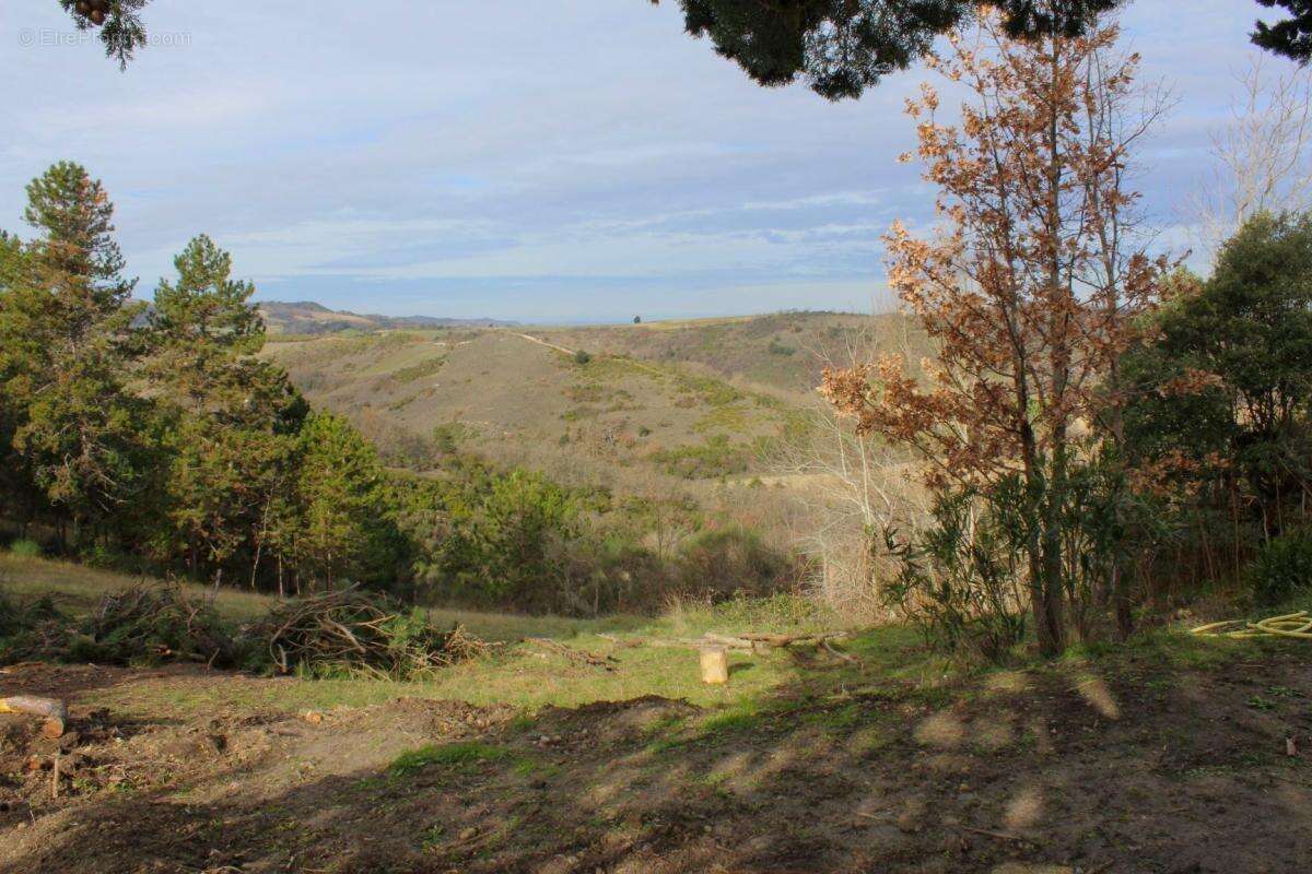 Mas/ferme rénové avec 6 chambres et 23 hectares de terrain - photo 31