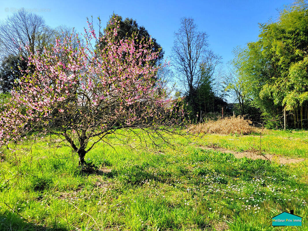 Terrain à MACHECOUL